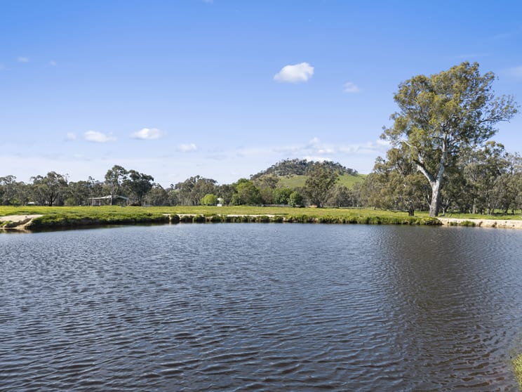 Click to view all images 1036 Euroa-Mansfield Road Gooram VIC 3666 - Image 2