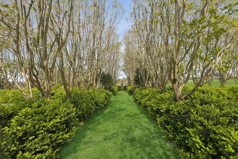 Click to view all images 30 Lutana Road Somersby NSW 2250 - Image 2