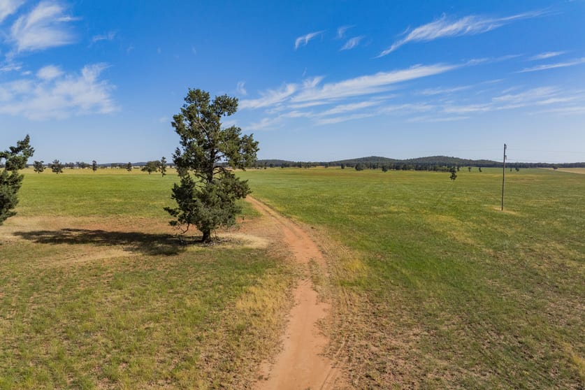 Click to view all images 3356 Mid Western Highway North Yalgogrin NSW 2671 - Image 2
