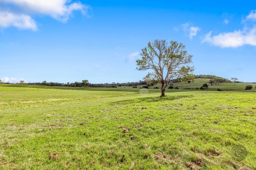 Click to view all images Lot 1 Fitzpatrick Road Jones Hill QLD 4570 - Image 2