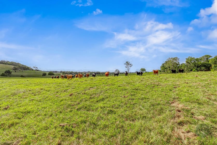 Click to view all images Lot 1 Fitzpatrick Road Jones Hill QLD 4570 - Image 3
