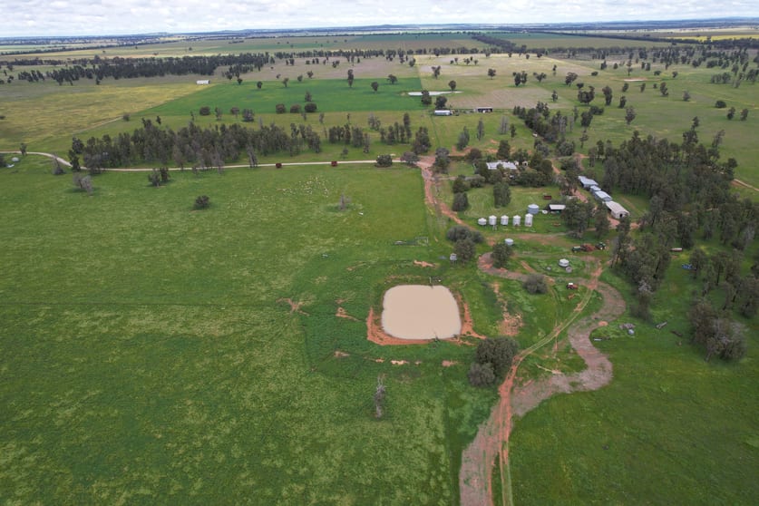 Click to view all images 3937 West Wyalong Condobolin Road Girral NSW 2669 - Image 1