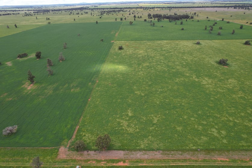 Click to view all images 3937 West Wyalong Condobolin Road Girral NSW 2669 - Image 3