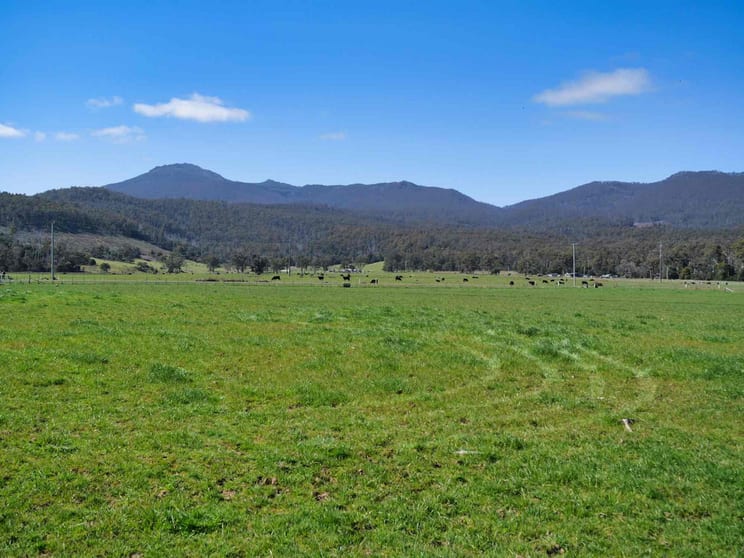 Click to view all images 38791 Tasman Highway Nunamara TAS 7259 - Image 3