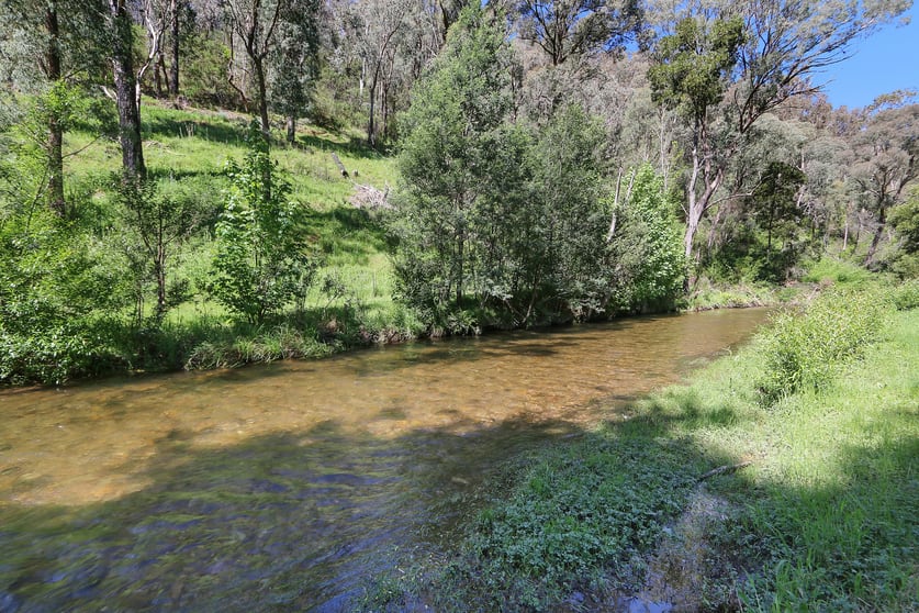 1711 Thowgla Road Thowgla Valley VIC 3707 - Image 2