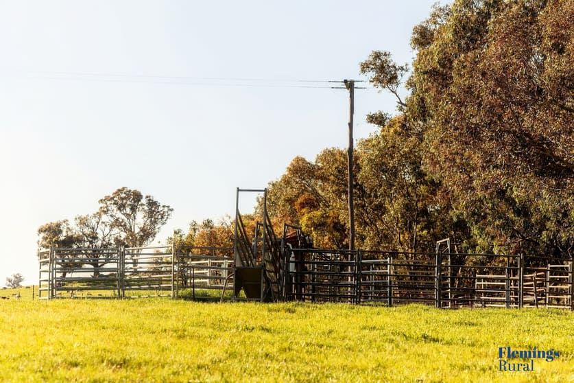 Click to view all images 1174 Lachlan Valley Way Bowning NSW 2582 - Image 3