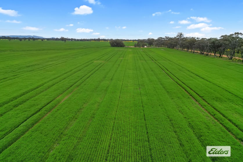 Click to view all images 58 Gready Road Wal Wal VIC 3385 - Image 3