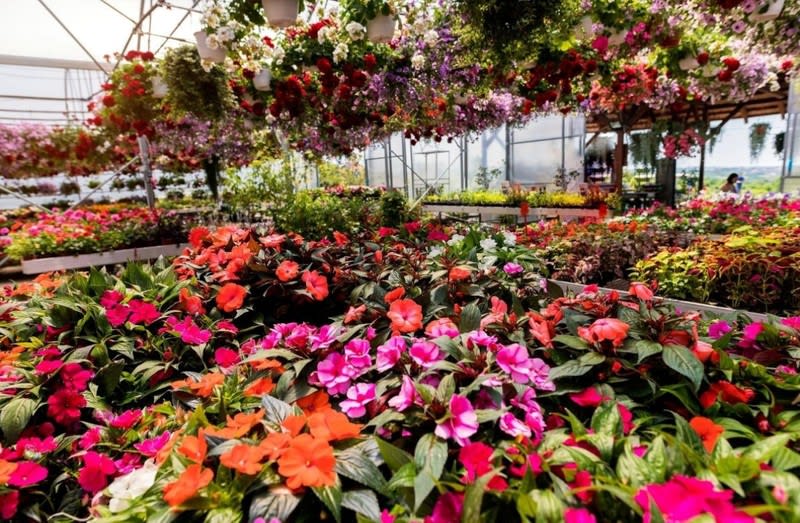 Gardening  business for sale in Melbourne - Image 1