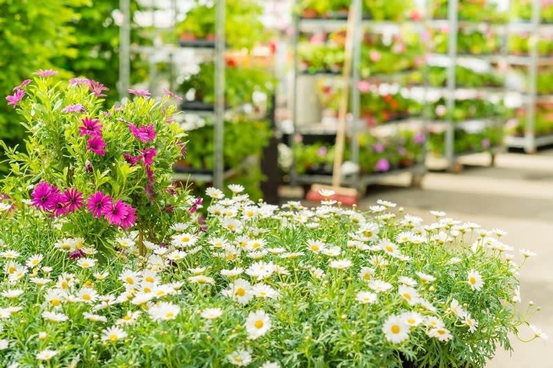 Gardening  business for sale in Melbourne - Image 2