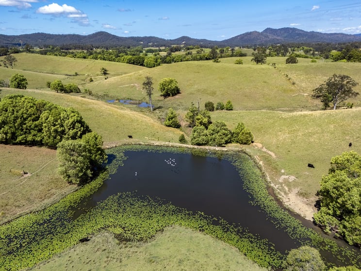 Click to view all images Lot 1/221 Lower Buckra Bendinni Road Buckra Bendinni NSW 2449 - Image 2