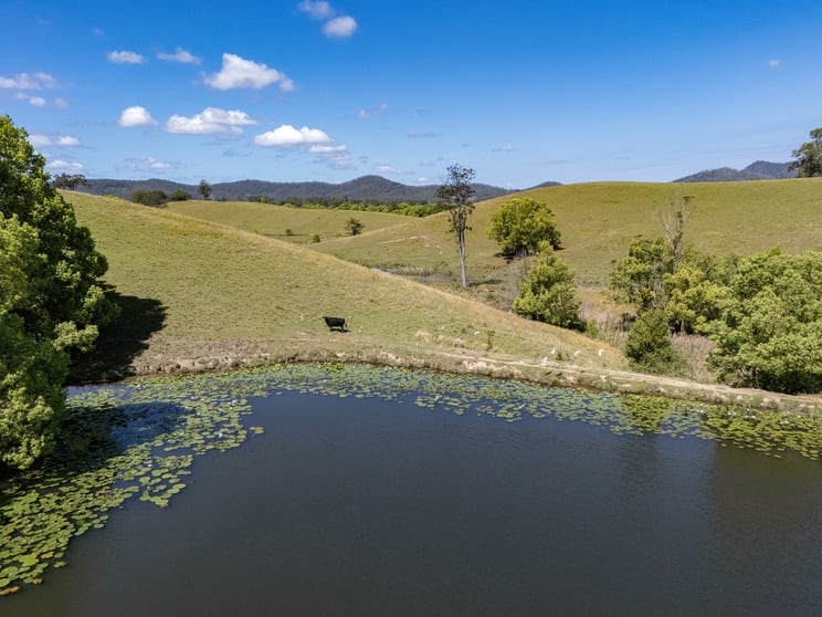 Click to view all images Lot 1/221 Lower Buckra Bendinni Road Buckra Bendinni NSW 2449 - Image 3