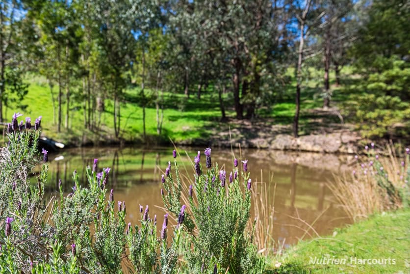 Click to view all images 140 North Mountain Road Heathcote Junction VIC 3758 - Image 2