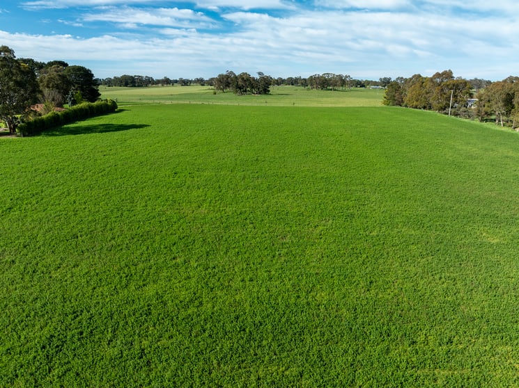 Click to view all images 74 Curralea Lane Forest Reefs NSW 2798 - Image 3
