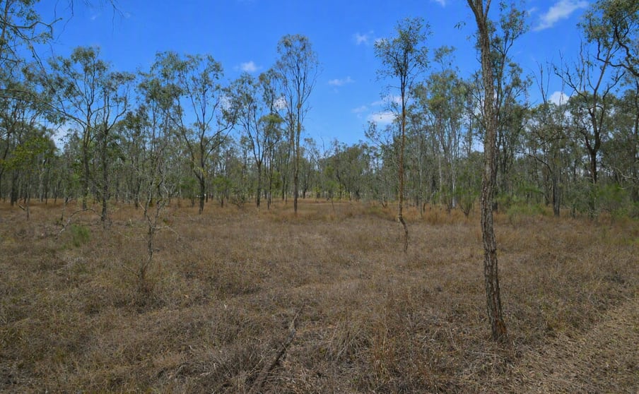 Click to view all images Lot 3 Clarendon Station Road Clarendon QLD 4311 - Image 3