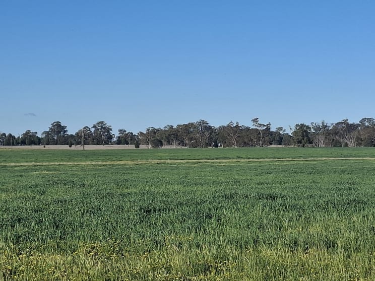 Click to view all images Dubbo NSW 2830 - Image 1