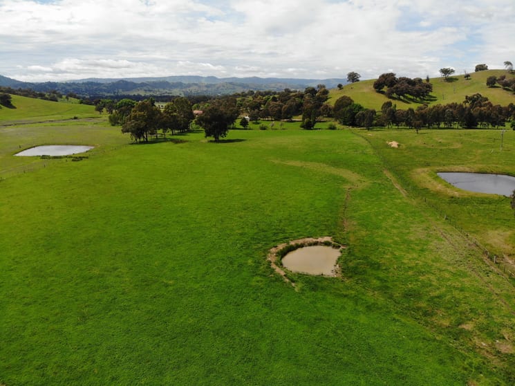Click to view all images 29 Smarts Road Gocup NSW 2720 - Image 2