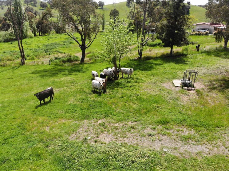 Click to view all images 29 Smarts Road Gocup NSW 2720 - Image 3