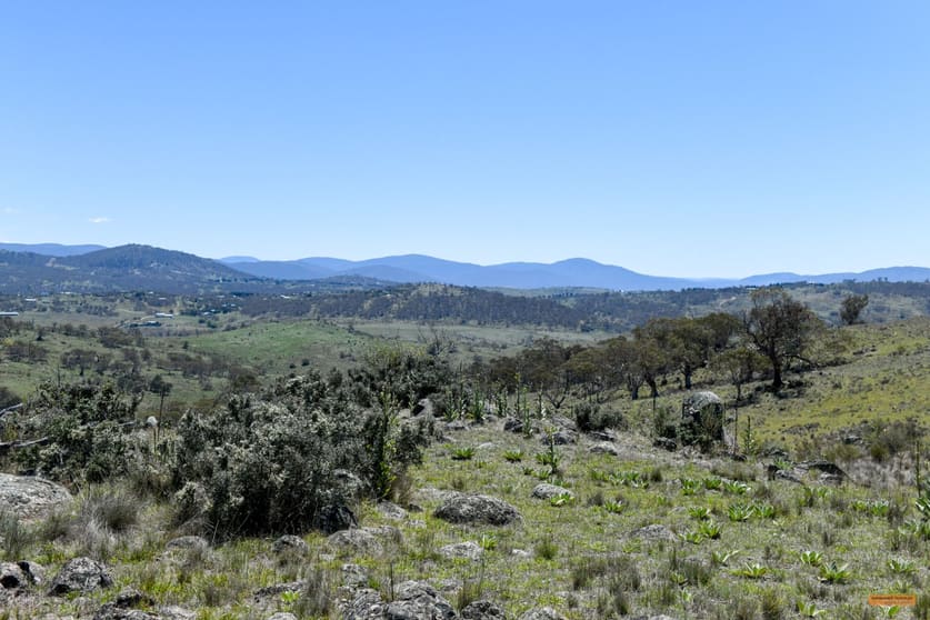 "Muriel's Paddock" Gullies Road Moonbah NSW 2627 - Image 1