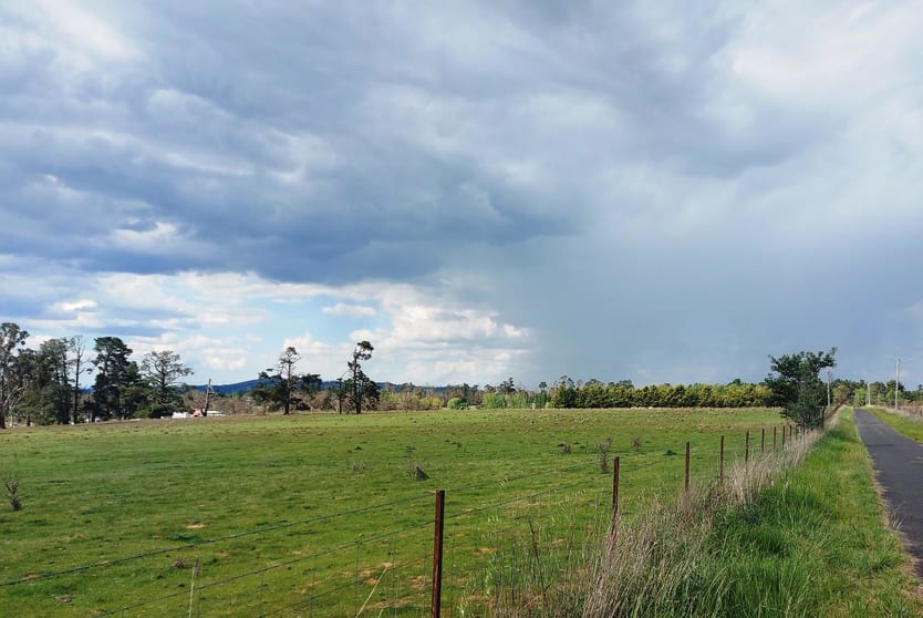 Click to view all images 506 Noalimba Avenue Kentucky South NSW 2354 - Image 2
