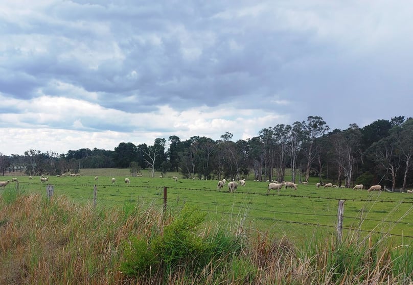 Click to view all images 506 Noalimba Avenue Kentucky South NSW 2354 - Image 3