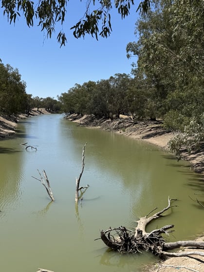 Click to view all images * 'West Wychucca' Louth NSW 2840 - Image 1