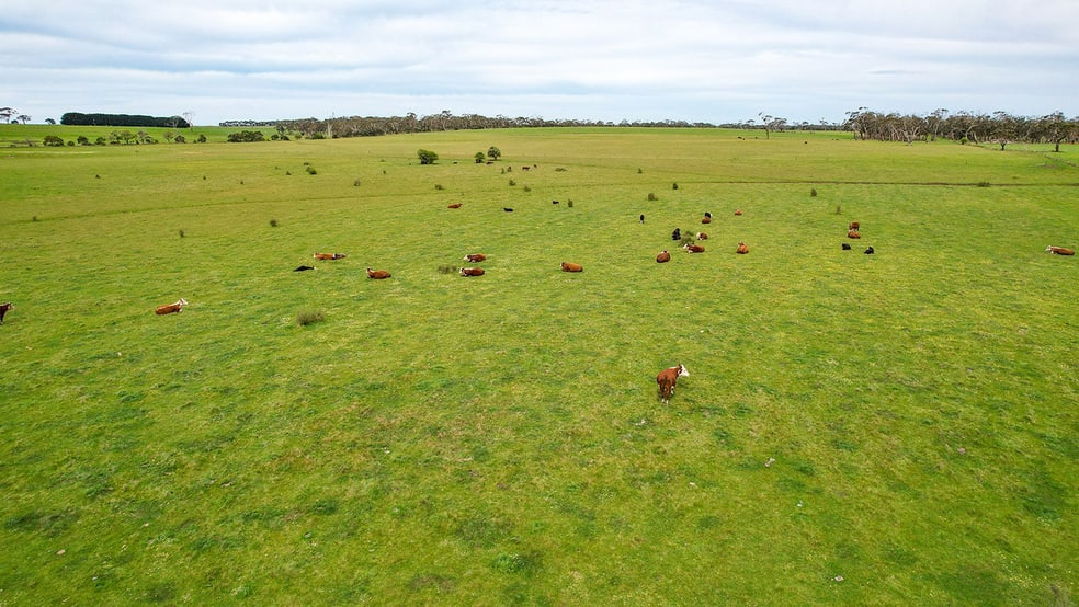 Click to view all images 'Ardlie's' Woolsthorpe-Heywood Road Broadwater VIC 3301 - Image 2