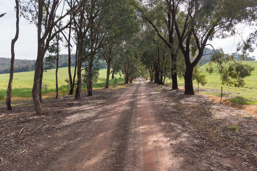 Click to view all images 80 Dicksons Road Indigo Valley VIC 3688 - Image 3
