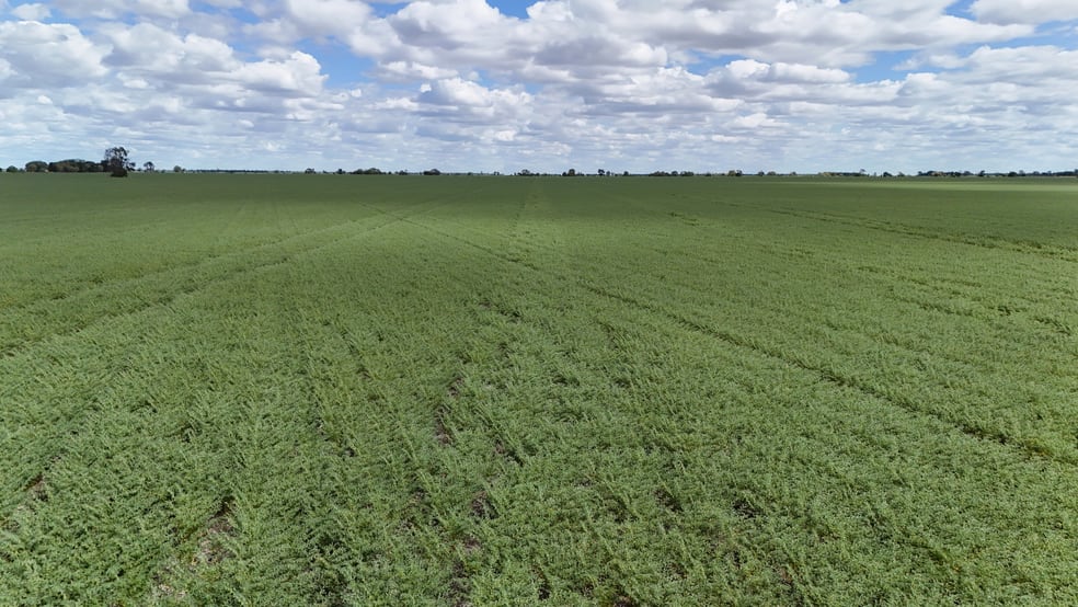 815 Murrays Road Moree NSW 2400 - Image 3