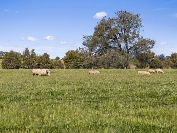 Click to view all images Tattersalls Lane Moormbool West VIC 3523 - Image 1