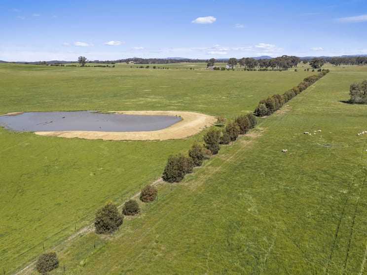 Click to view all images Tattersalls Lane Moormbool West VIC 3523 - Image 3