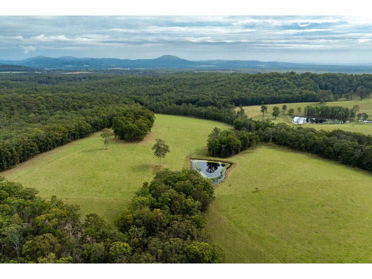 Click to view all images 490 Minimbah Road Minimbah NSW 2312 - Image 2