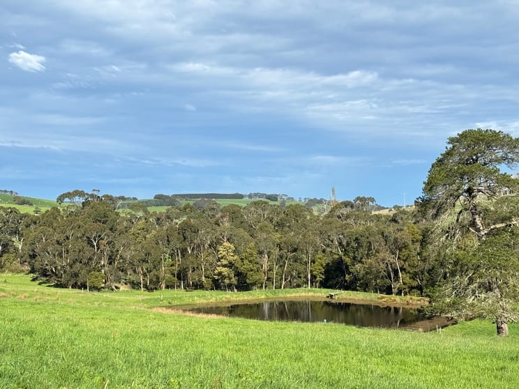 Click to view all images 42 Floyds Road Scotts Creek VIC 3267 - Image 2