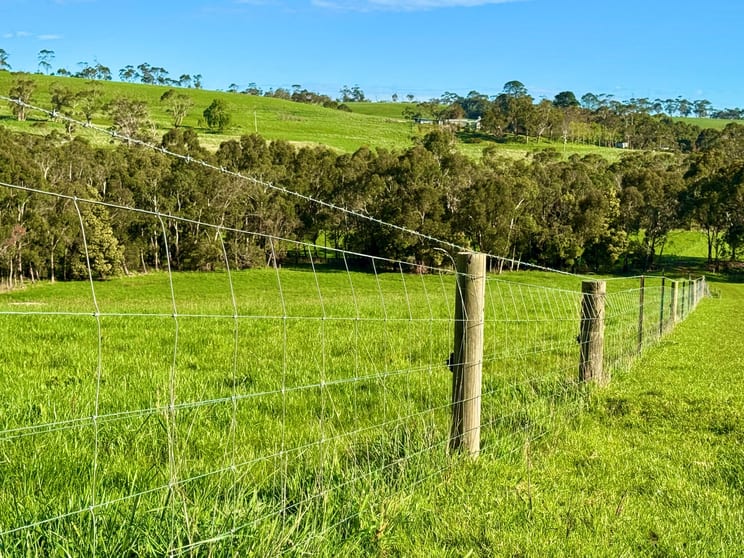 Click to view all images 42 Floyds Road Scotts Creek VIC 3267 - Image 3