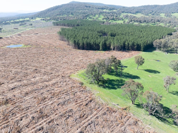 Click to view all images 34 Ikes Mountain Road Mannus NSW 2653 - Image 3