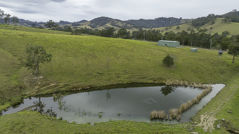 Click to view all images 2601 Allyn River Road Eccleston NSW 2311 - Image 3