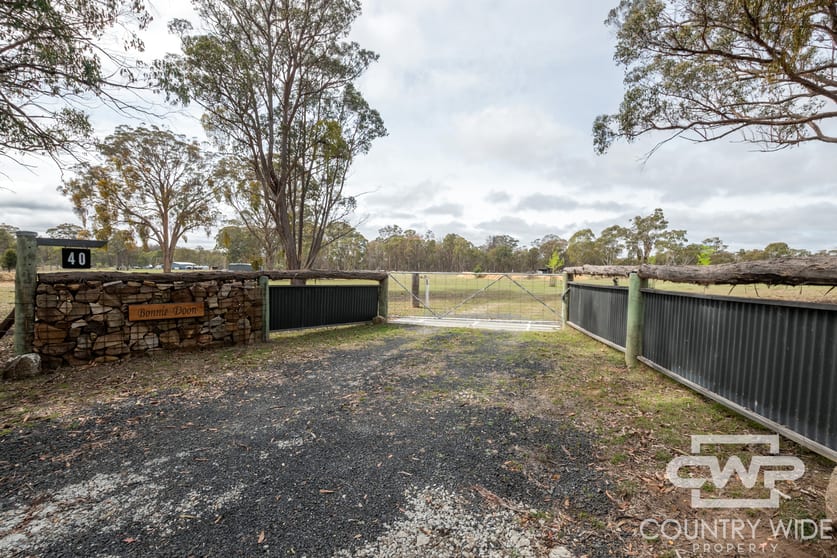 40 Catarrh Creek Road Torrington NSW 2371 - Image 2