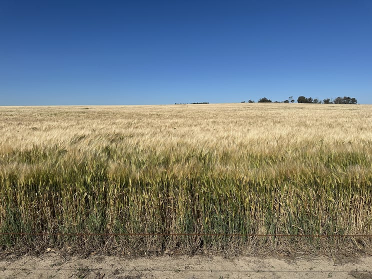 Click to view all images 4480 Katanning-Nyabing Road Nyabing WA 6341 - Image 2