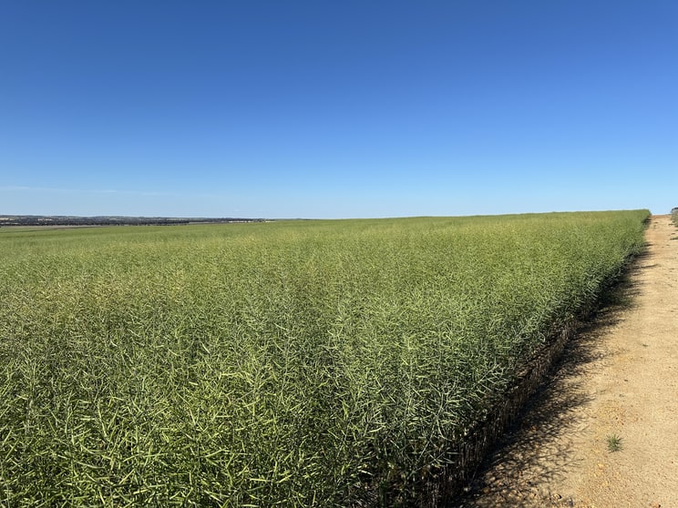 Click to view all images 4480 Katanning-Nyabing Road Nyabing WA 6341 - Image 3