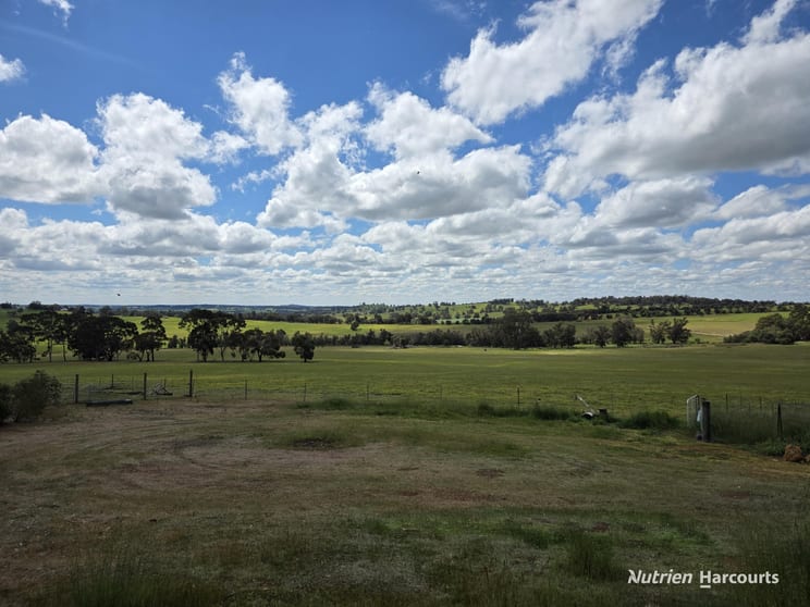 288 & Lot 3394 Glenorchy Road South Mokup WA 6394 - Image 3