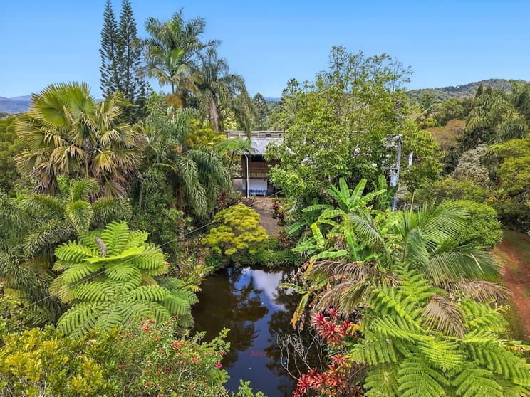 Click to view all images 94 Ellinjaa Road Millaa Millaa QLD 4886 - Image 2
