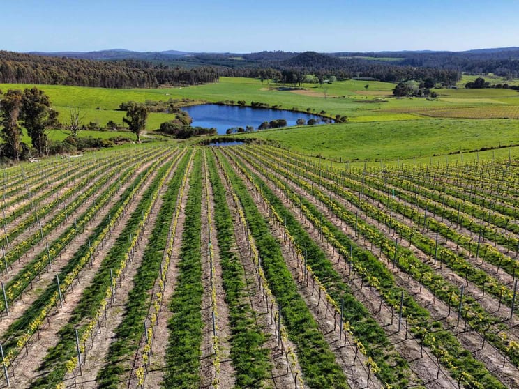 Click to view all images 2241 Pipers River Road Pipers River TAS 7252 - Image 3
