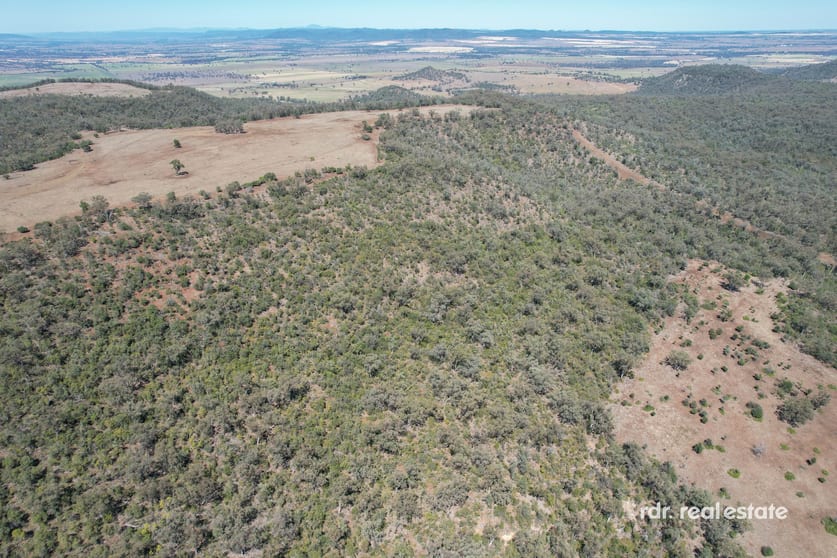 Click to view all images 369 Toolimbah Road Warialda NSW 2402 - Image 3