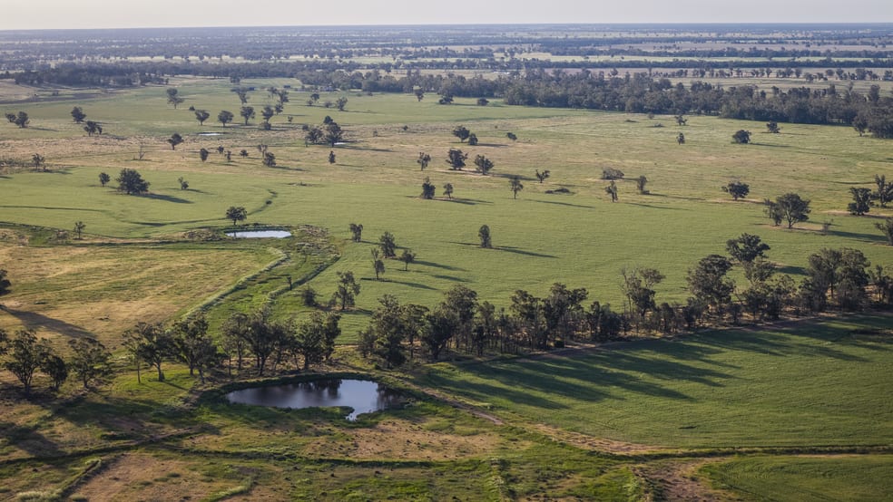 440 Gundong Road Tomingley NSW 2869 - Image 2
