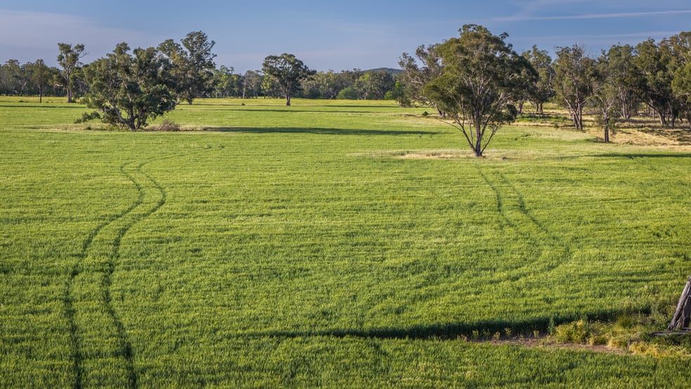 440 Gundong Road Tomingley NSW 2869 - Image 3