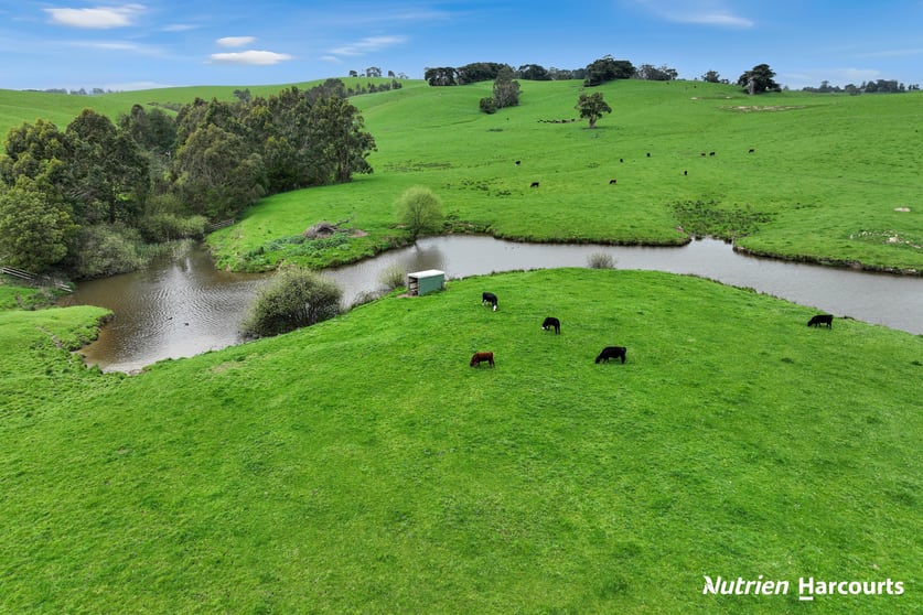 Click to view all images 250 Houlahans Lane Poowong VIC 3988 - Image 3