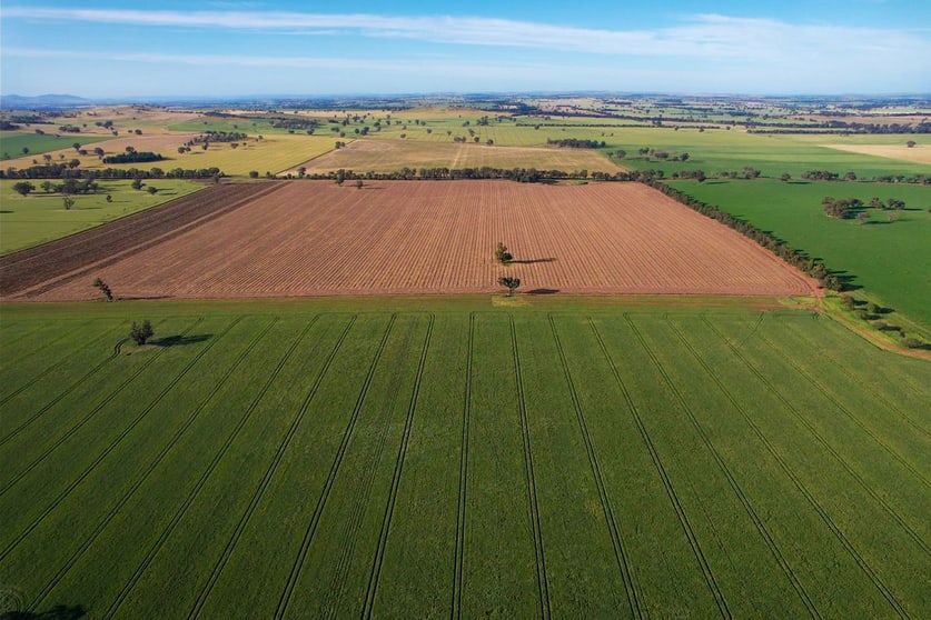 Click to view all images Cootamundra NSW 2590 - Image 1