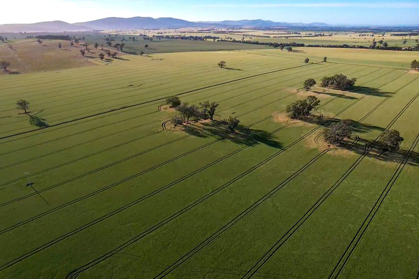 Click to view all images Cootamundra NSW 2590 - Image 2
