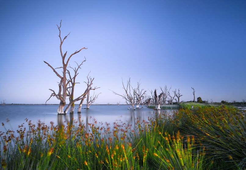 Click to view all images Lot 25 Queen Elizabeth Drive Barmera SA 5345 - Image 2