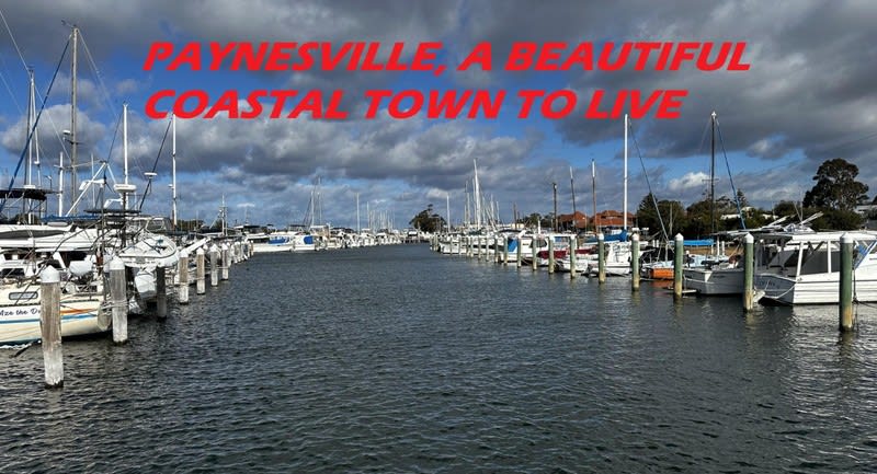 Caravan Park  business for sale in Paynesville - Image 3