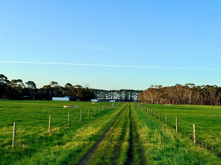 Click to view all images Rowans Road Nullawarre North VIC 3268 - Image 2